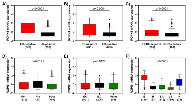 <i>ROPN1</i> Gene Expression as a Prognostic and Predictive Biomarker in Aggressive Breast Cancer: Clinical Implications and Survival Association.
