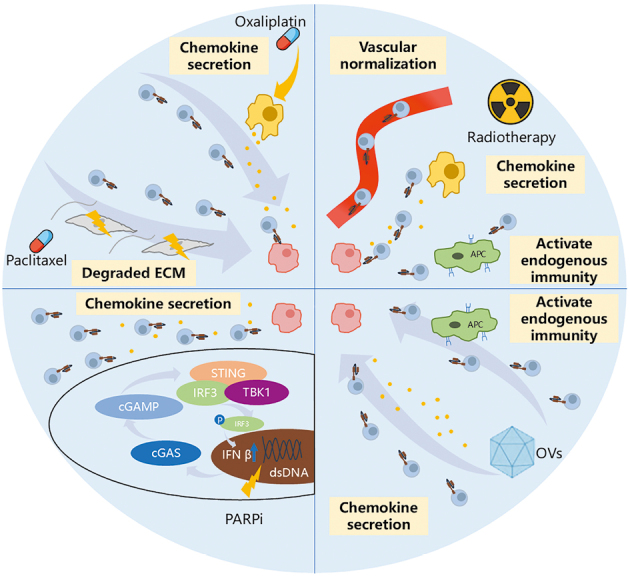 Strategies and challenges in promoting chimeric antigen receptor T cells trafficking and infiltration of solid tumors.