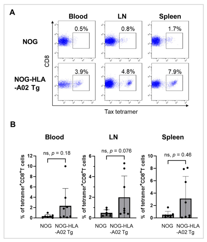 An HTLV-1-Infected Humanized Mouse Model Expressing HLA-A*02:01 Demonstrates Effective CTL-Mediated Suppression of HTLV-1.
