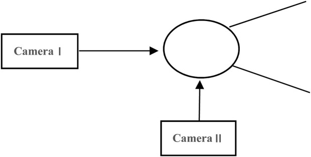 A kinematic analysis of the hammer throw technique in elite female athletes: a comparative study between Chinese and international competitors.
