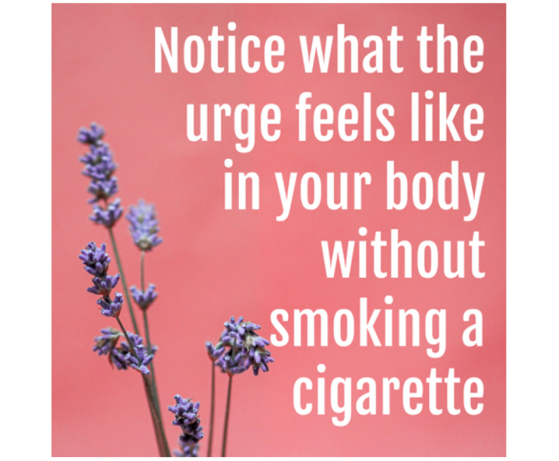 App-Based Smoking Urge Reduction Intervention for Young Adults: Protocol Combining a Microrandomized Trial and Conventional Between-Subject Randomized Trial.