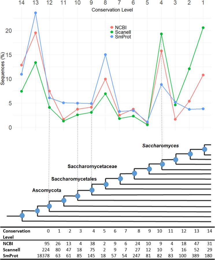 Comprehensive profiling of ribo-seq detected small sequences in yeast reveals robust conservation patterns and their potential mechanisms of origin.