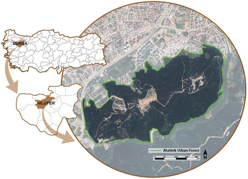 Recreational Performance Evaluation of Urban Forests: Spatial, Socio-Cultural, and Public Health-Related Perspectives.