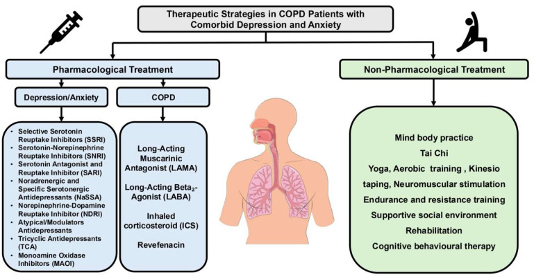 Depression and Anxiety as Comorbidities in Chronic Obstructive Pulmonary Disease: A Comprehensive Narrative Review.