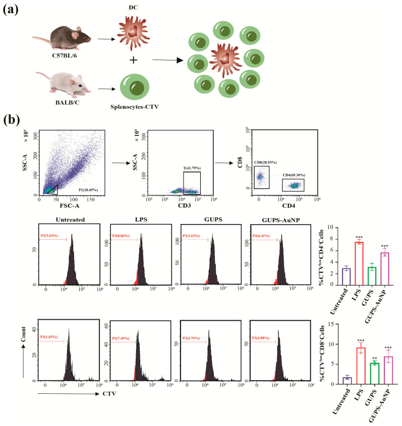 <i>Glycyrrhiza uralensis</i> Polysaccharide Gold Nanoparticles as Antigen Carriers and Potential Adjuvant to DC Vaccines.