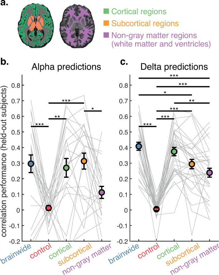 Brainwide hemodynamics predict EEG neural rhythms across sleep and wakefulness in humans.