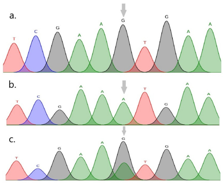 Association Between FABP3 and FABP4 Genes with Changes in Milk Composition and Fatty Acid Profiles in the Native Southern Yellow Cattle Breed.