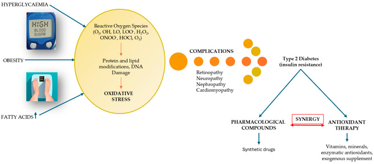 Synergism of Synthetic Sulfonamides and Natural Antioxidants for the Management of Diabetes Mellitus Associated with Oxidative Stress.