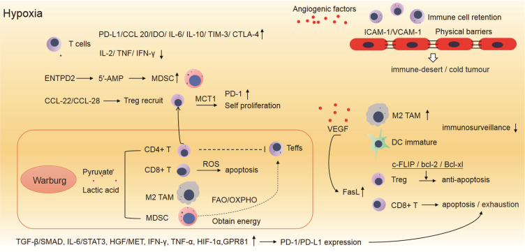 Angiogenesis and Immunosuppressive Niche in Hepatocellular Carcinoma: Reshaping Vascular - Immune Axis to Potentiate antiPD - 1/PD - L1 Therapy.