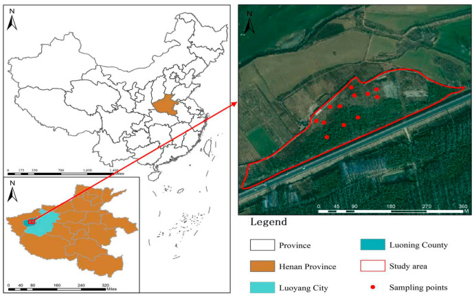Analysis of Microbial Community Structure and Diversity in Different Soil Use Types in the Luo River Basin.