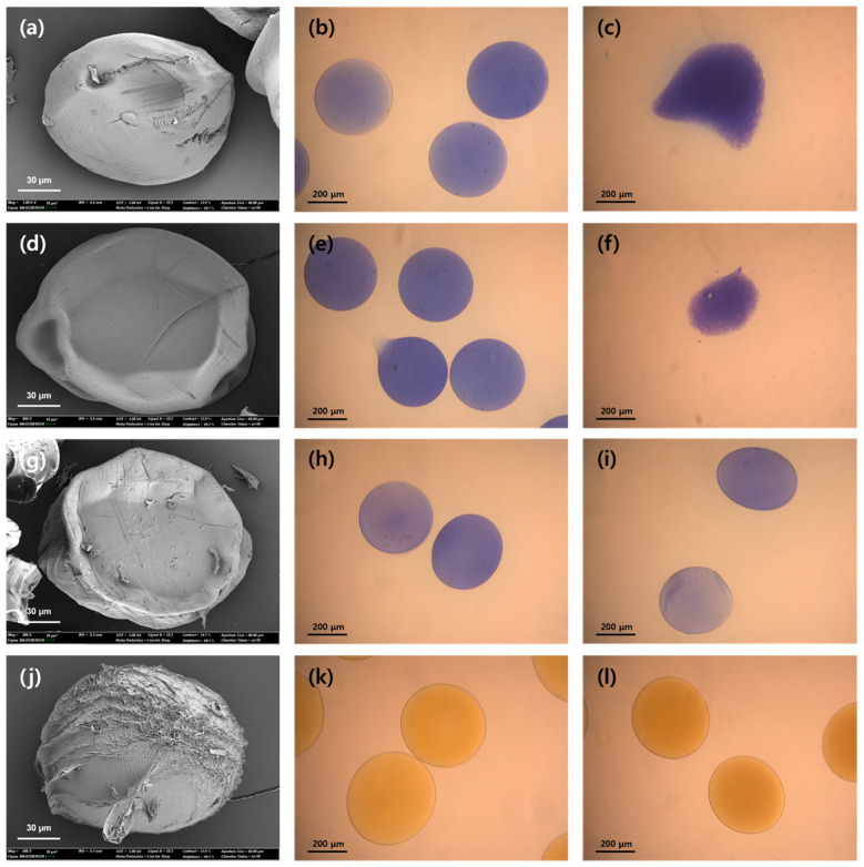 Size-Controlled Fabrication of Alginate Hydrogel Microbeads Optimized for Lipase Entrapment.