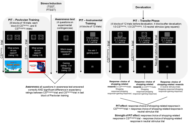 Risky online buying-shopping behavior: The role of stress responsivity on the transfer from goal-directed behavior to stimulus-response habits.