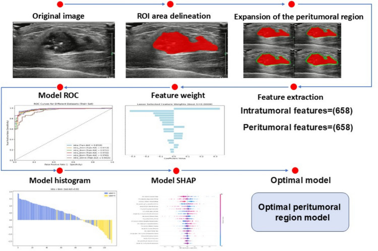 Intratumoral and peritumoral radiomics based on 2D ultrasound imaging in breast cancer was used to determine the optimal peritumoral range for predicting KI-67 expression.