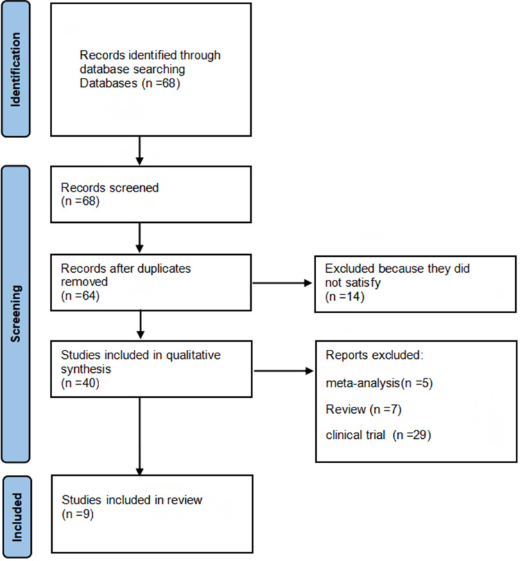 Chronic Obstructive Pulmonary Disease and Lung Cancer: A Meta-Analysis of Risk Association.