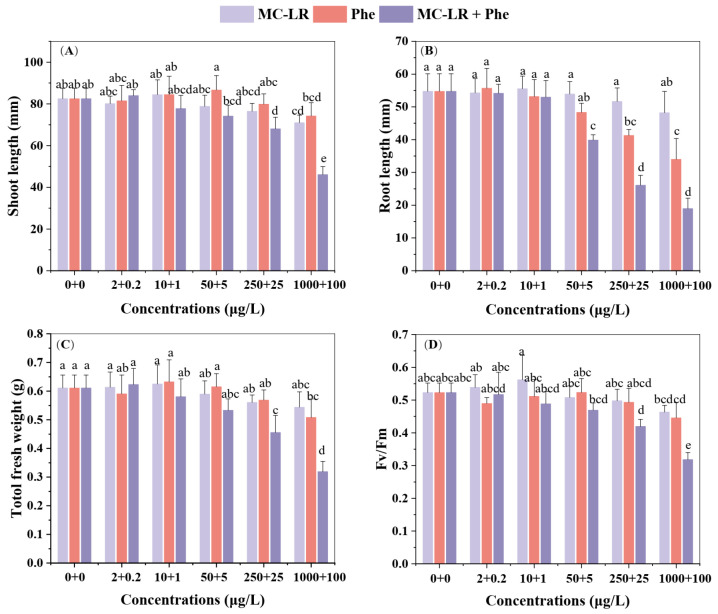Phenanthrene Amplifies Microcystin-Induced Toxicity in the Submerged Macrophyte <i>Vallisneria natans</i>.