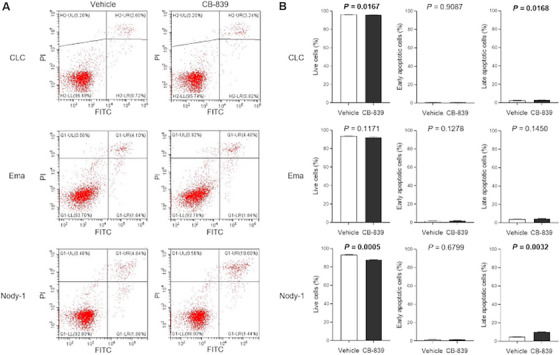 Glutaminase Expression in Canine Large-Cell Alimentary Lymphoma Cells and Effects of Glutaminase Inhibition by CB-839.