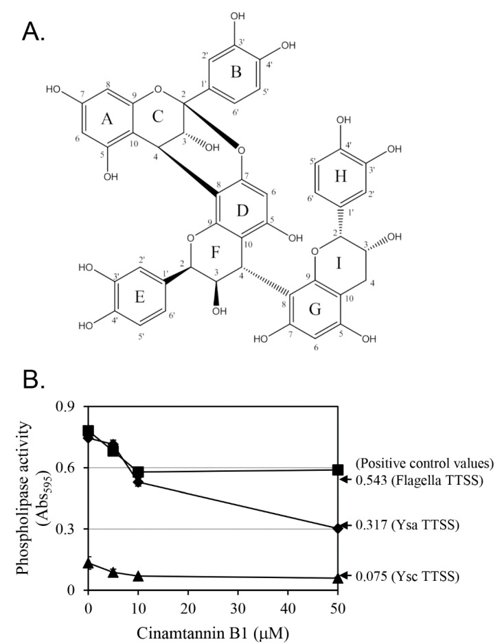 Selective Inhibition of <i>Yersinia enterocolitica</i> Type III Secretion by <i>Lindera obtusiloba</i> Extract and Cinnamtannin B1.