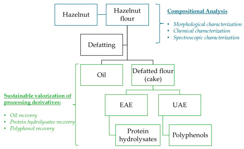 Compositional Analysis and Sustainable Valorization of the Calabrian Hazelnut cv. 'Tonda Calabrese' and Its Processing Derivatives.