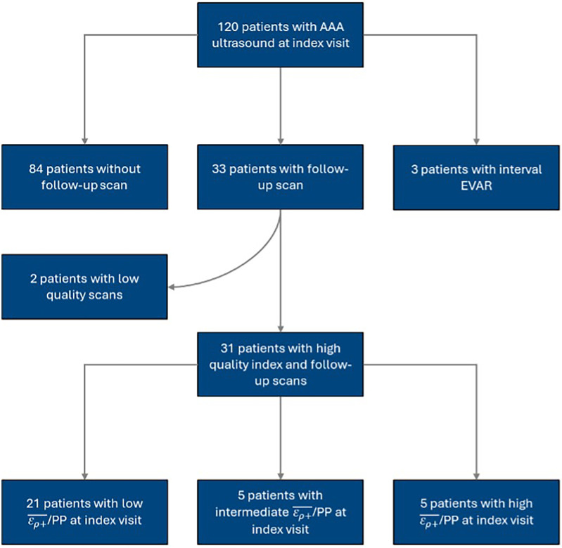 Characterizing changes in abdominal aortic aneurysms using principal wall strain ultrasound elastography.