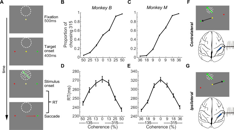 Nonlinear feedback modulation contributes to the optimization of flexible decision-making.