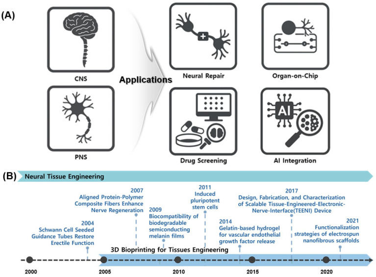 3D Bioprinted Neural Tissues: Emerging Strategies for Regeneration and Disease Modeling.