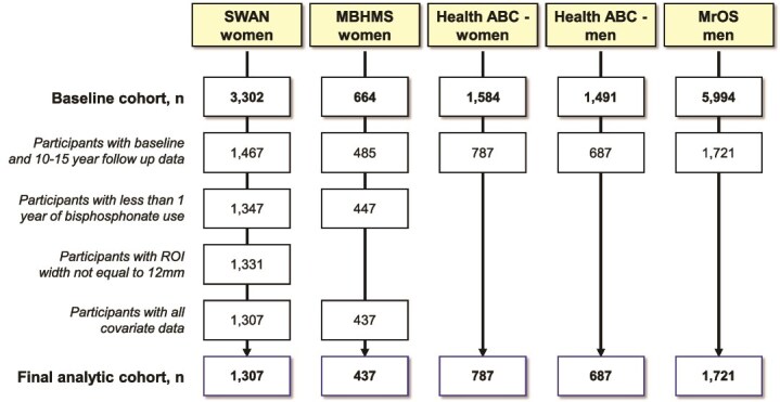 Femoral neck width is associated with unique trajectories of age-related hip structural changes and fracture risk within populations of adult women and men.