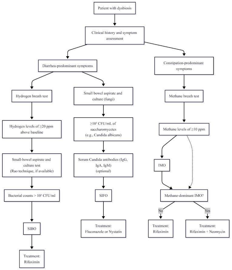 Methane, Bacteria, Fungi, and Fermentation: Pathophysiology, Diagnosis and Treatment Strategies for Small Intestinal Bacterial Overgrowth, Intestinal Methanogen Overgrowth and Small Intestinal Fungal Overgrowth.