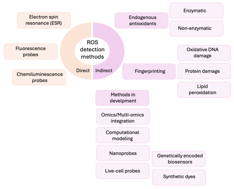 The Importance of Multifaceted Approach for Accurate and Comprehensive Evaluation of Oxidative Stress Status in Biological Systems.