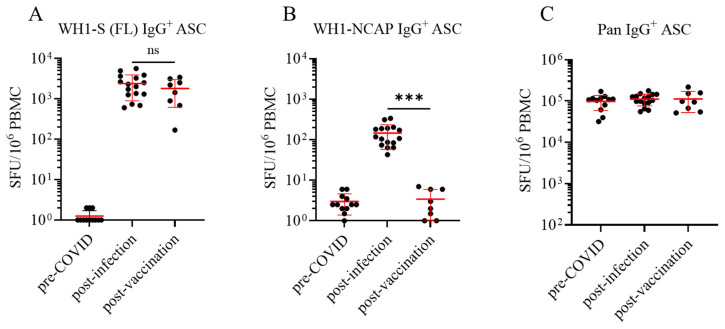 SARS-CoV-2 Infection or COVID-19 mRNA Vaccination Elicits Partially Different Spike-Reactive Memory B Cell Responses in Naïve Individuals.