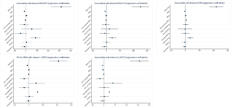 Relationship Between Activity Tracker Metrics and the Physical Activity Index and Their Association With Cardiometabolic Phenotypes, Subclinical Atherosclerosis, and Cardiac Remodeling: Cross-Sectional Study.