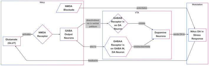 Targeting pro-dopaminergic agonism to attenuate and depression in patient's displaying genetic/epigenetic predisposition to hypodopaminergia.