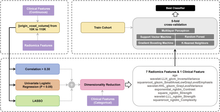 Machine learning-based radiomics approach assessing preoperative non-contrast CT for microsatellite instability prediction in colon cancer.