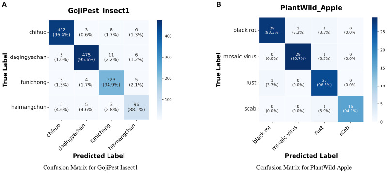 Soft prompt-tuning for plant pest and disease classification from colloquial descriptions.
