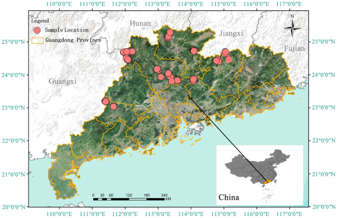 Developing compatibility biomass model based on UAV LiDAR data of Chinese fir (<i>Cunninghamia lanceolata</i>) in Southern China.