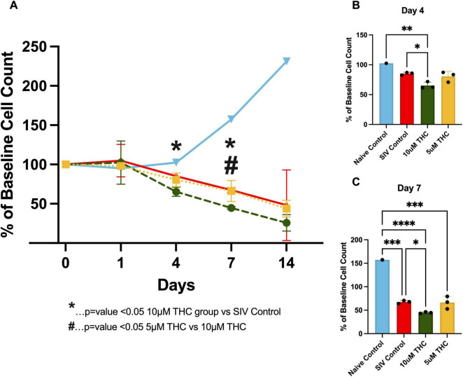 THC reverses SIV-induced senescence in astrocytes: possible compensatory mechanism against HIV associated brain injury?