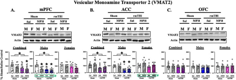 Sex-differences in catecholamine transporter expression in the rodent prefrontal cortex following repetitive mild traumatic brain injury and methylphenidate treatment.