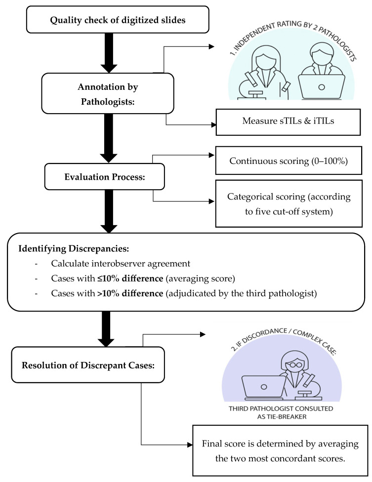 Assessment of Tumor-Infiltrating Lymphocytes in Triple-Negative Breast Cancer: Interobserver Variability and Contributing Factors.