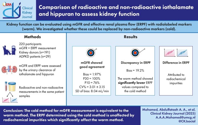 Comparison of radioactive and non-radioactive iothalamate and hippuran to assess kidney function.