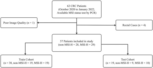 Machine learning-based radiomics approach assessing preoperative non-contrast CT for microsatellite instability prediction in colon cancer.