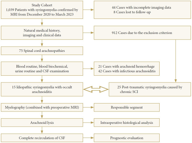 A Novel Clinical Insight Into Idiopathic Syringomyelia With Occult Arachnoid Webs: Neuropathological Features, Differential Diagnosis, and Surgical Strategy.