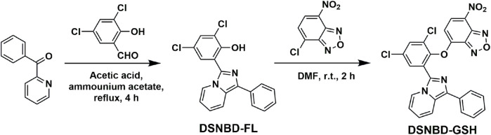 Developing a dichlorosalicylaldehyde-derived fluorescent probe for monitoring glutathione in a cellular pulmonary ventilation model.