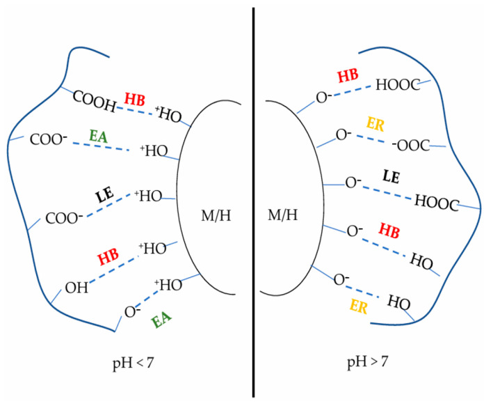 Development and Application Prospects of Biomass-Based Organic Binders for Pellets Compared with Bentonite.