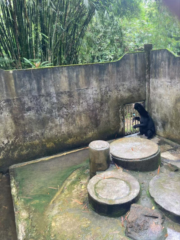Environmental Parameters as Indicators of Bear Welfare.