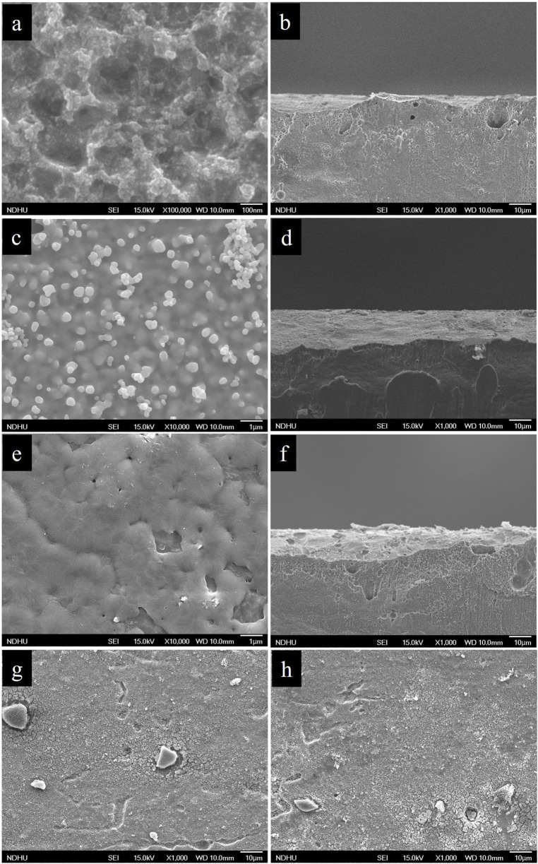Facile construction of Pt/TiO<sub>2</sub>/Se/Ni heterostructure for efficient visible-light-driven PEC water splitting.