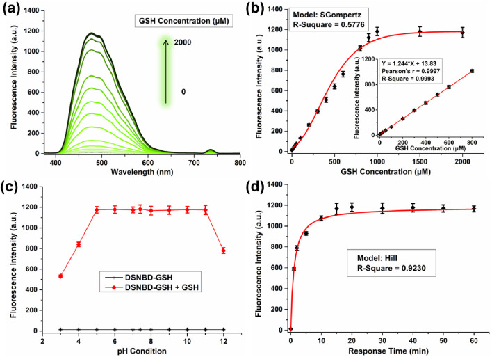 Developing a dichlorosalicylaldehyde-derived fluorescent probe for monitoring glutathione in a cellular pulmonary ventilation model.