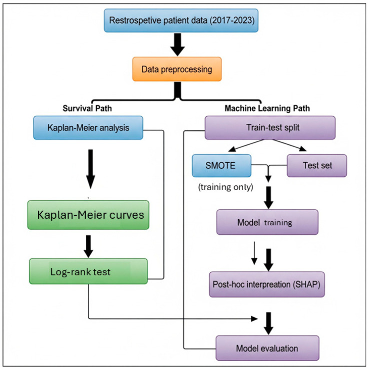 Predicting Mortality in Older Adults Using Comprehensive Geriatric Assessment: A Comparative Study of Traditional Statistics and Machine Learning Approaches.