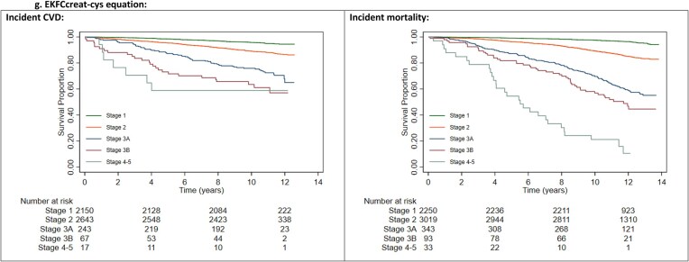 Novel eGFR equations and cardiovascular outcomes in a multiethnic Asian cohort.