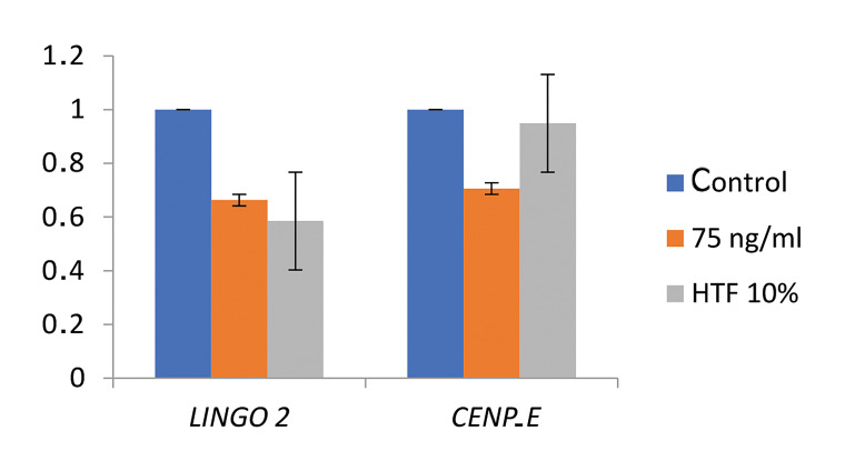 Assessing The Effectiveness of Growth Hormone Releasing Protein-6 in Improving Human Oocyte Maturation and Meiotic Progression in <i>In Vitro</i> Maturation Culture Media.