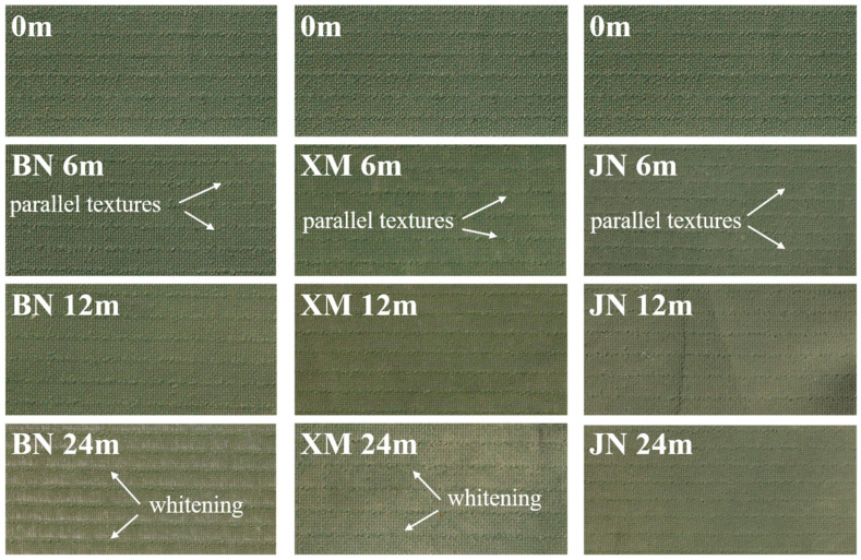 Multi-Regional Natural Aging Behaviors and Degradation Mechanisms of Polyurethane-Coated Fabrics Under Coupled Multiple Environmental Factors.