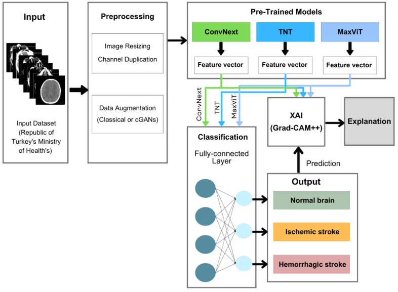 Brain Stroke Classification Using CT Scans with Transformer-Based Models and Explainable AI.